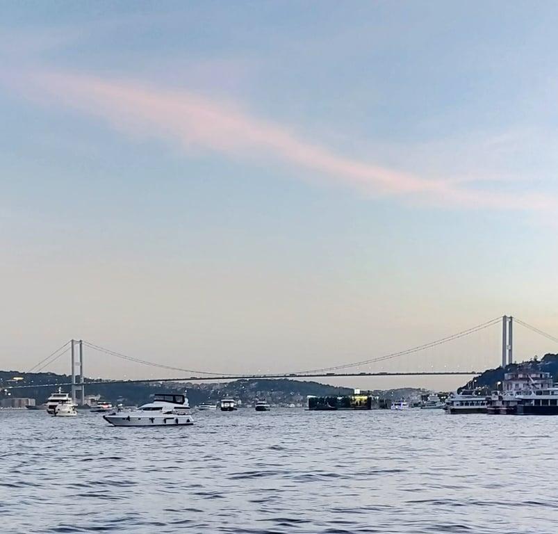 Arnavutköy İskele Balık fotoğraf 6