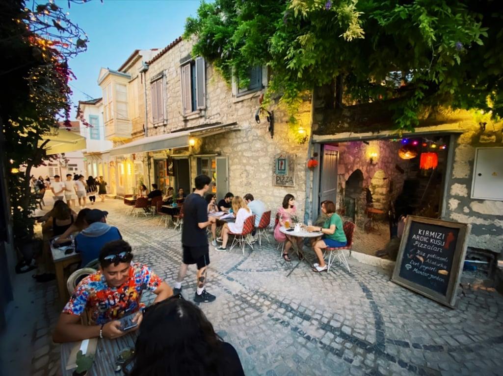 Kırmızı Ardıç Kuşu fotoğraf 4
