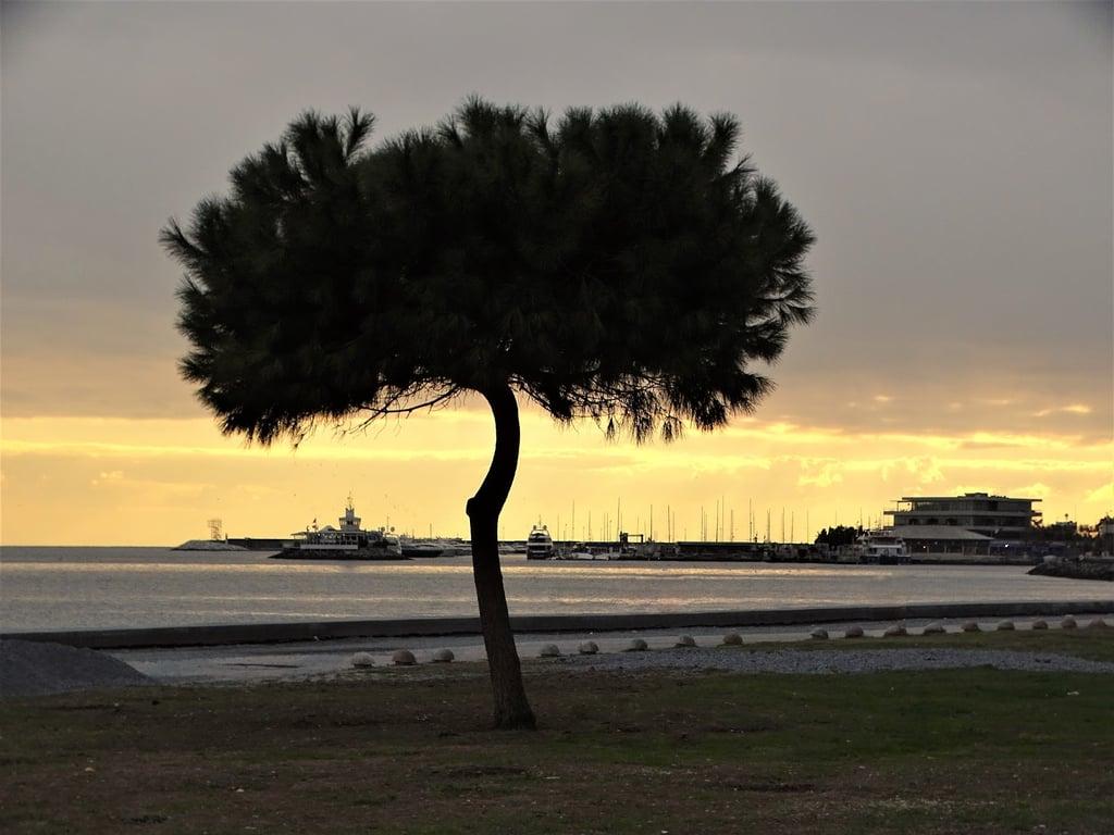 By Balıkçı fotoğraf 4