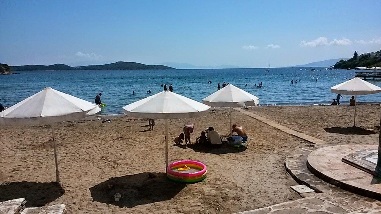 Archipelago Restaurant fotoğraf 3