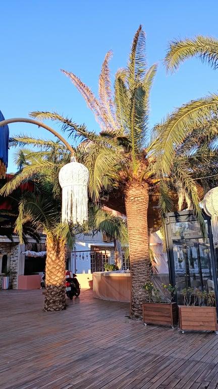 NUKU ALAÇATI : SEAFOOD RESTAURANT fotoğraf 8