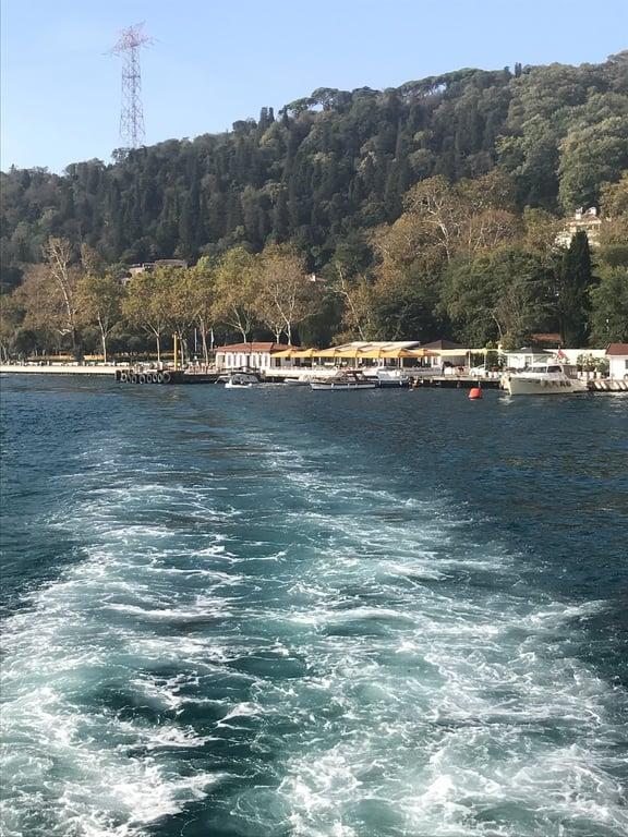 Bebek Lokal fotoğraf 15