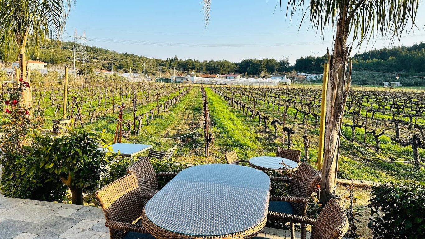 ÇAKIR Winery & Vineyards/ ÇAKIR Şarapçılık & Bağcılık fotoğraf 8