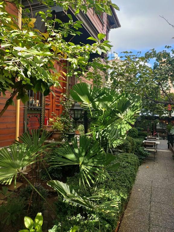 Sera House Cafe fotoğraf 3