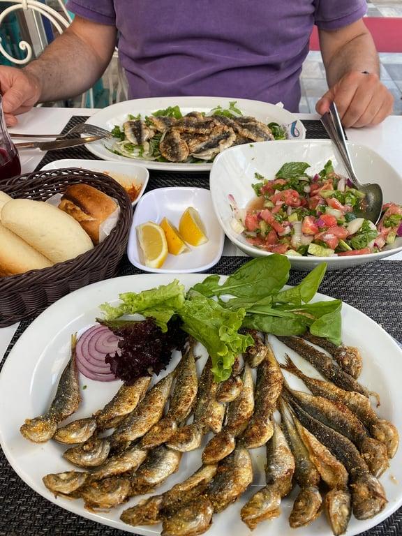 Mavi Sandal Balıkçısı Sahrayıcedit fotoğraf 5