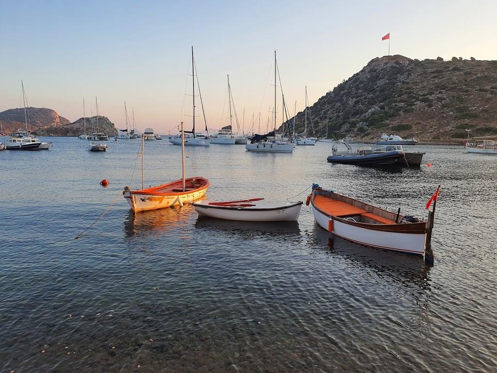 Mimoza Gümüşlük Restaurant fotoğraf 9
