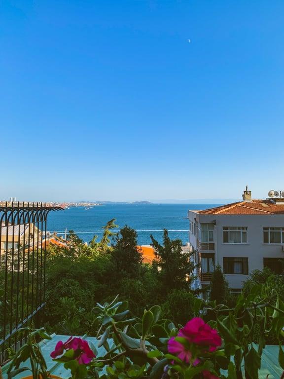 Demeti Meyhanesi fotoğraf 2