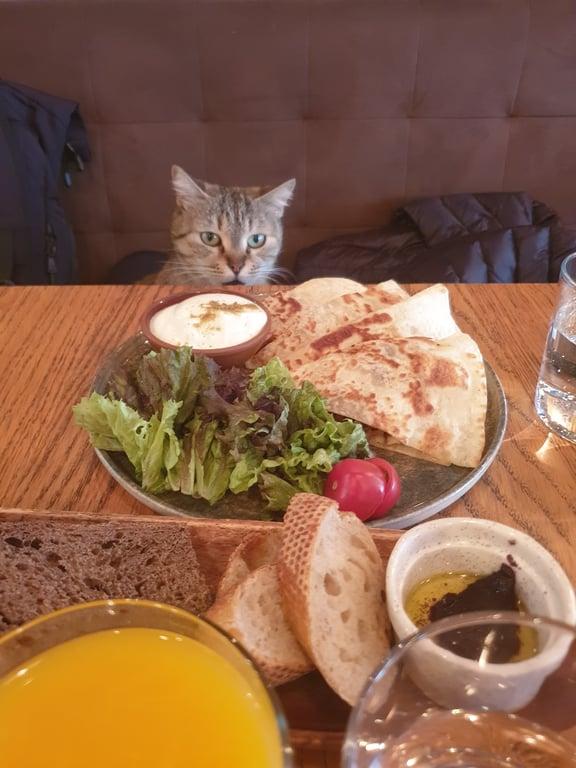 Cuppa Cafe fotoğraf 3