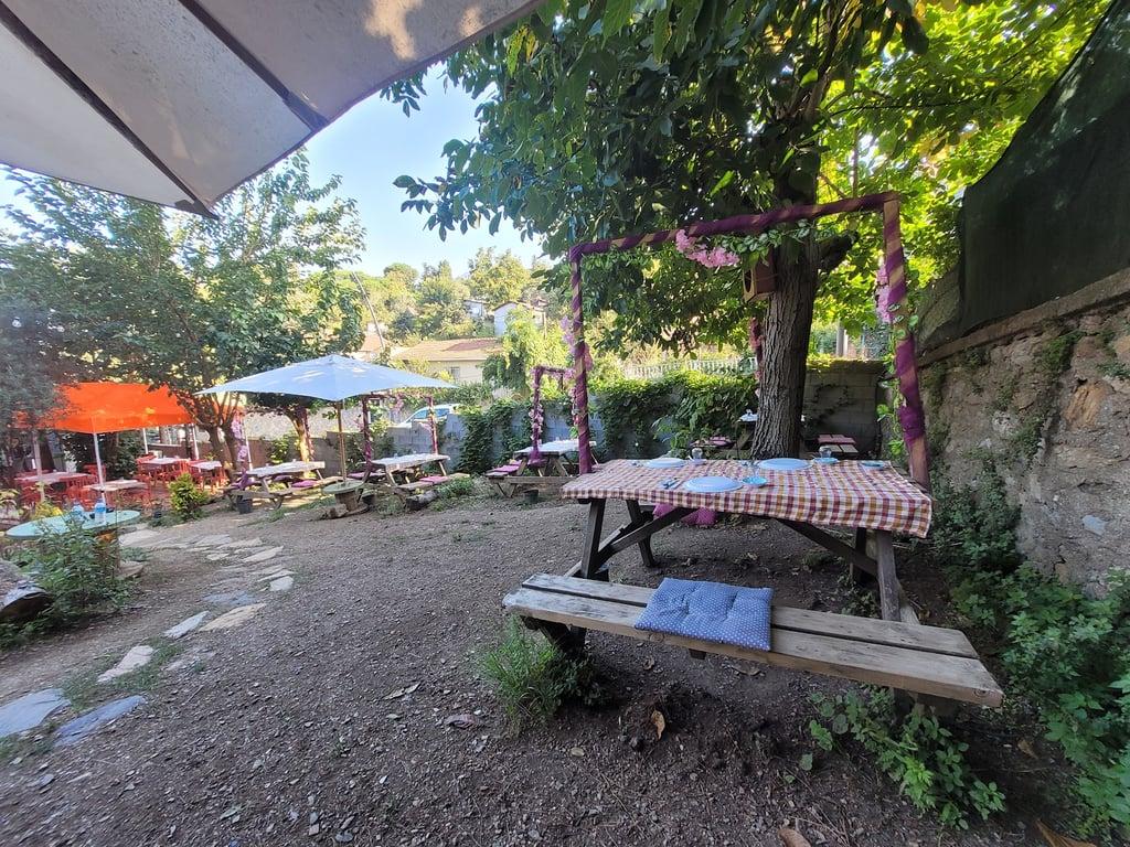 Saranın Bahçesi fotoğraf 8