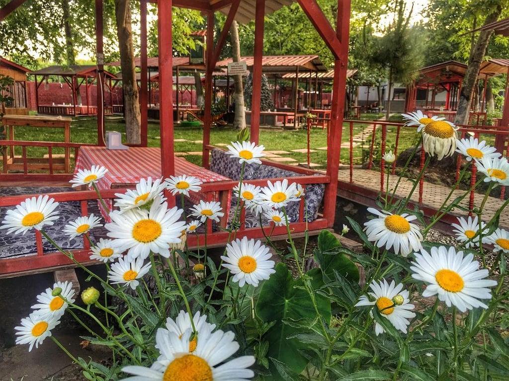 Kavaklıdere Restaurant Alkolsüz fotoğraf 2