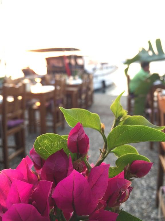 Lecafe Ristorante İtaliano