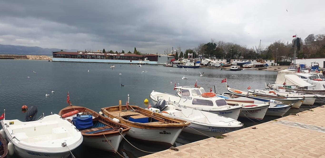 Halit Balık Restoran fotoğraf 4
