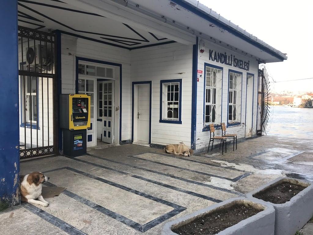 Kandilli Balıkçısı Suna Abla fotoğraf 14