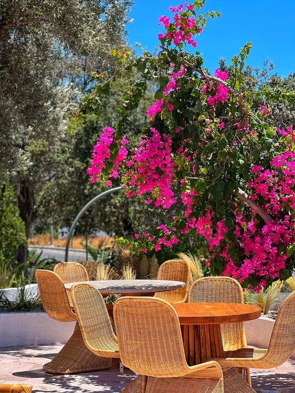 Bitz Lounge Bodrum fotoğraf 8