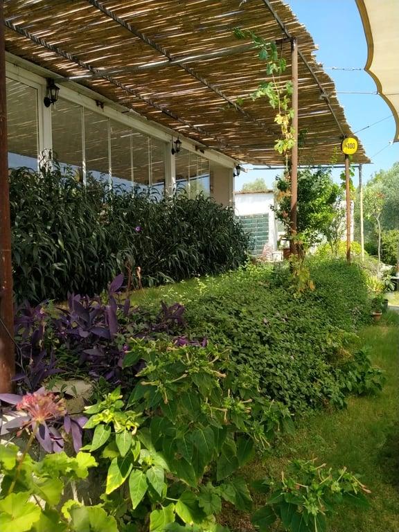 Zahter Kahvaltı Evi & Restaurant fotoğraf 2