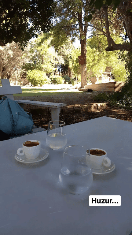 Tarla Alaçatı fotoğraf 8