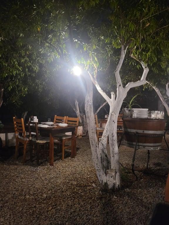 Bağarası Restaurant fotoğraf 7