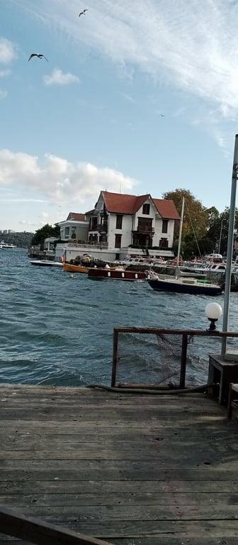 Taka balık fotoğraf 11