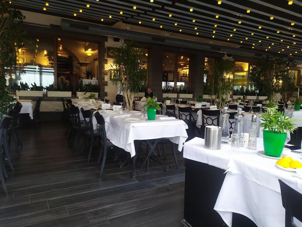 Yüksel Balık Yeşilköy fotoğraf 7