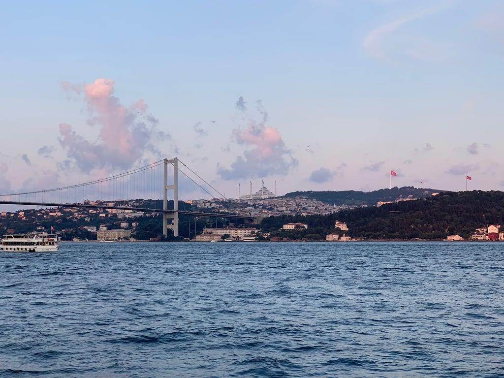 Bosphorus Grill fotoğraf 7