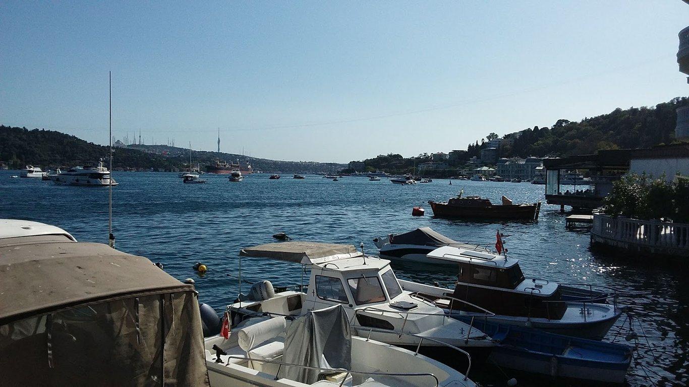 Bebek Lokal fotoğraf 8