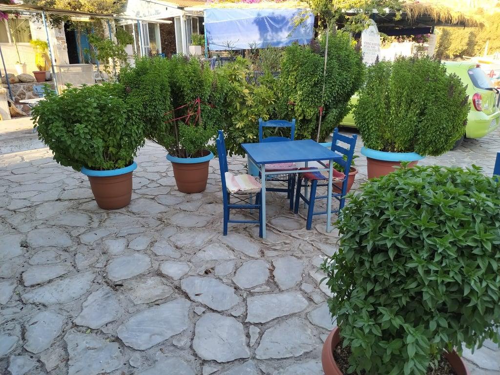 BOOTSHAUS • Old Poppy's Taverna