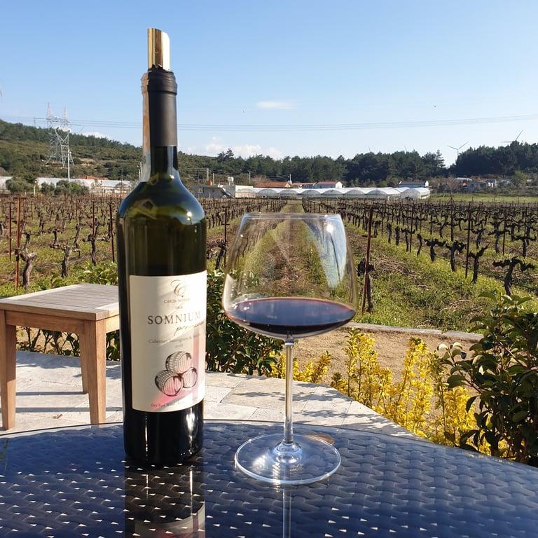 ÇAKIR Winery & Vineyards/ ÇAKIR Şarapçılık & Bağcılık fotoğraf 9
