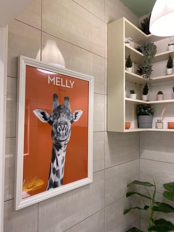 Melly Coffee Co.