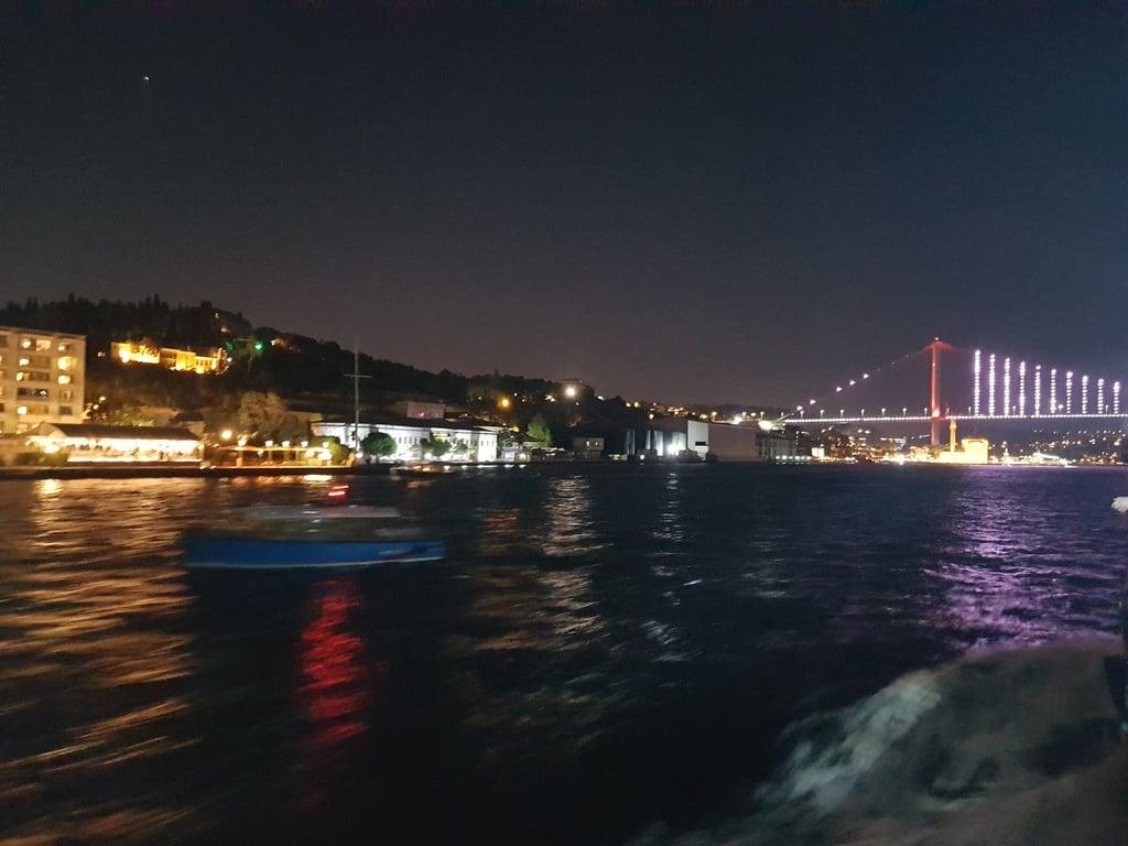 Bosphorus Grill fotoğraf 6