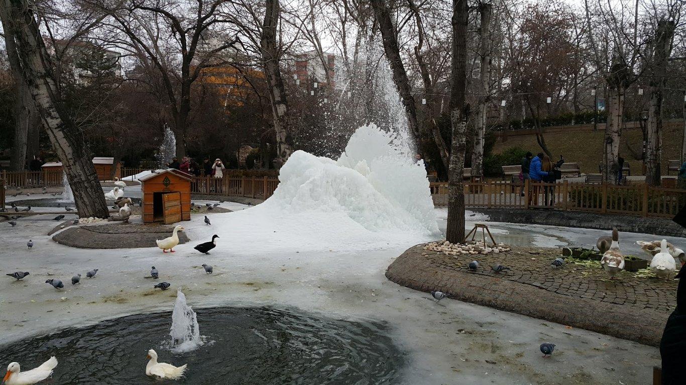 Kuğulupark Restaurant & Cafe fotoğraf 2