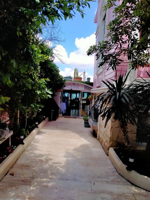 Beylerbeyi Doğa Balık & Kahvaltı fotoğraf 13