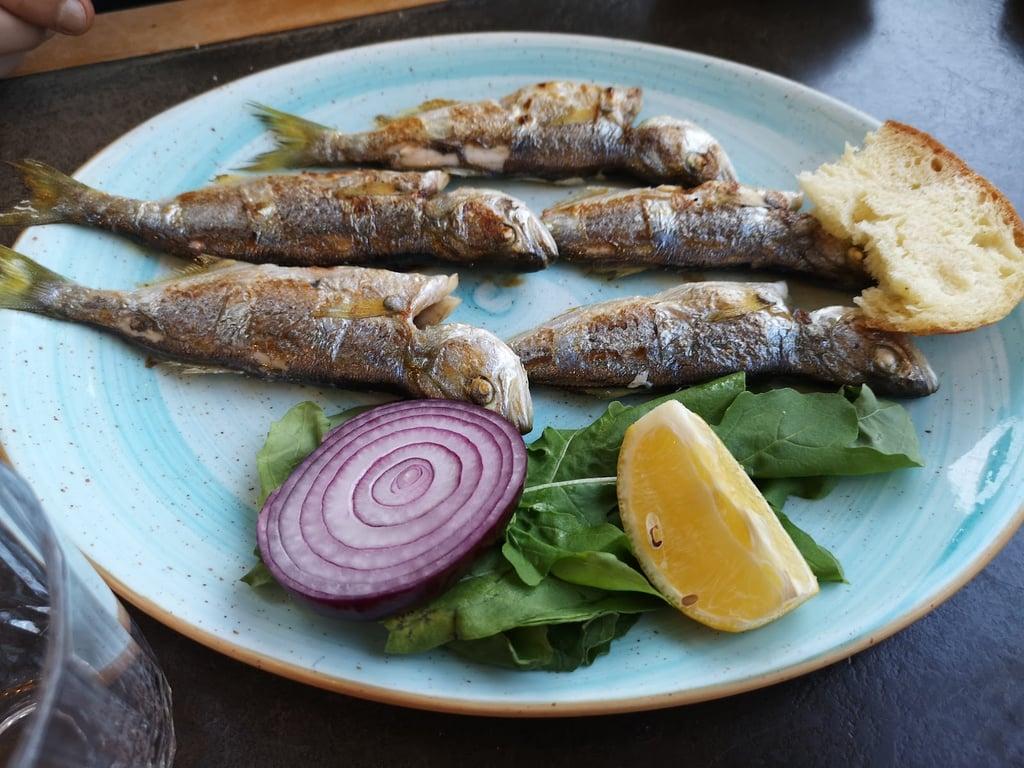 Sandal Balık fotoğraf 7