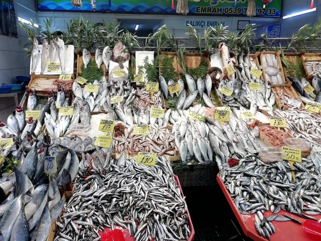 Balıkçı Hamdi fotoğraf 9