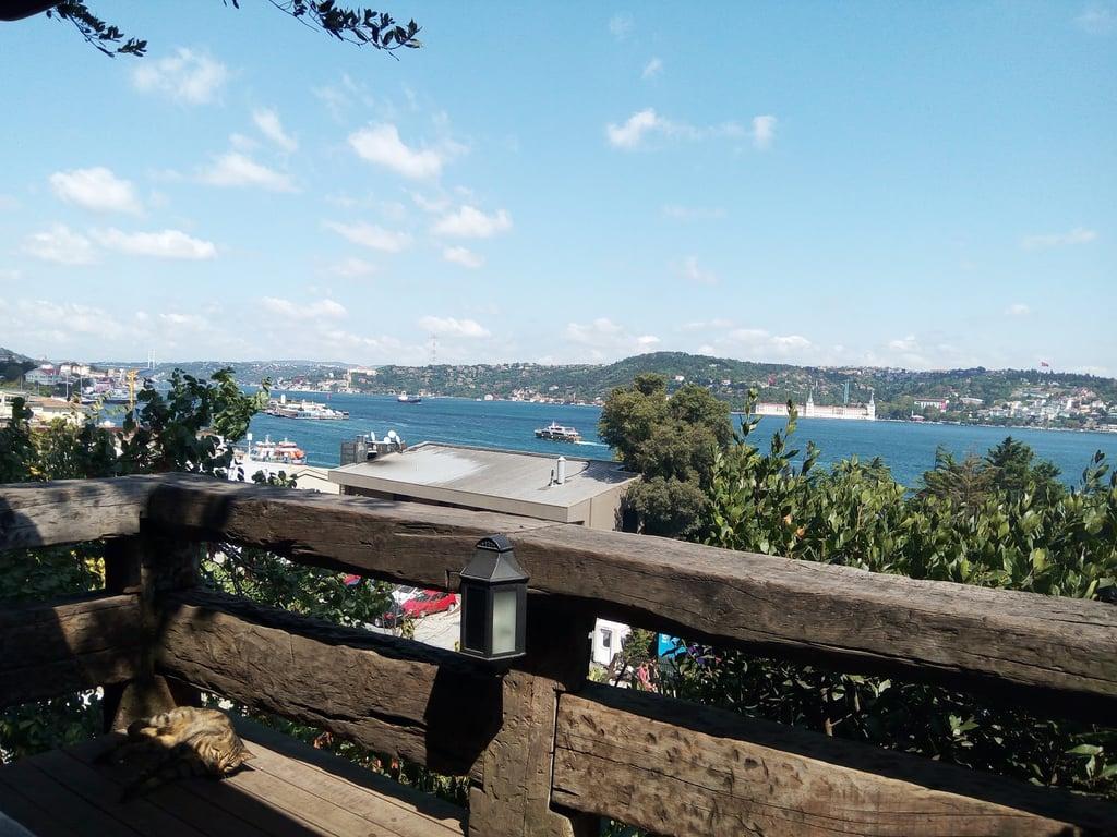 Koru İstanbul Kuruçeşme fotoğraf 7