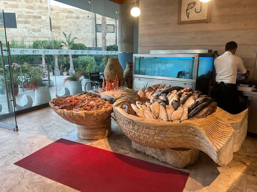 Sait fotoğraf 4