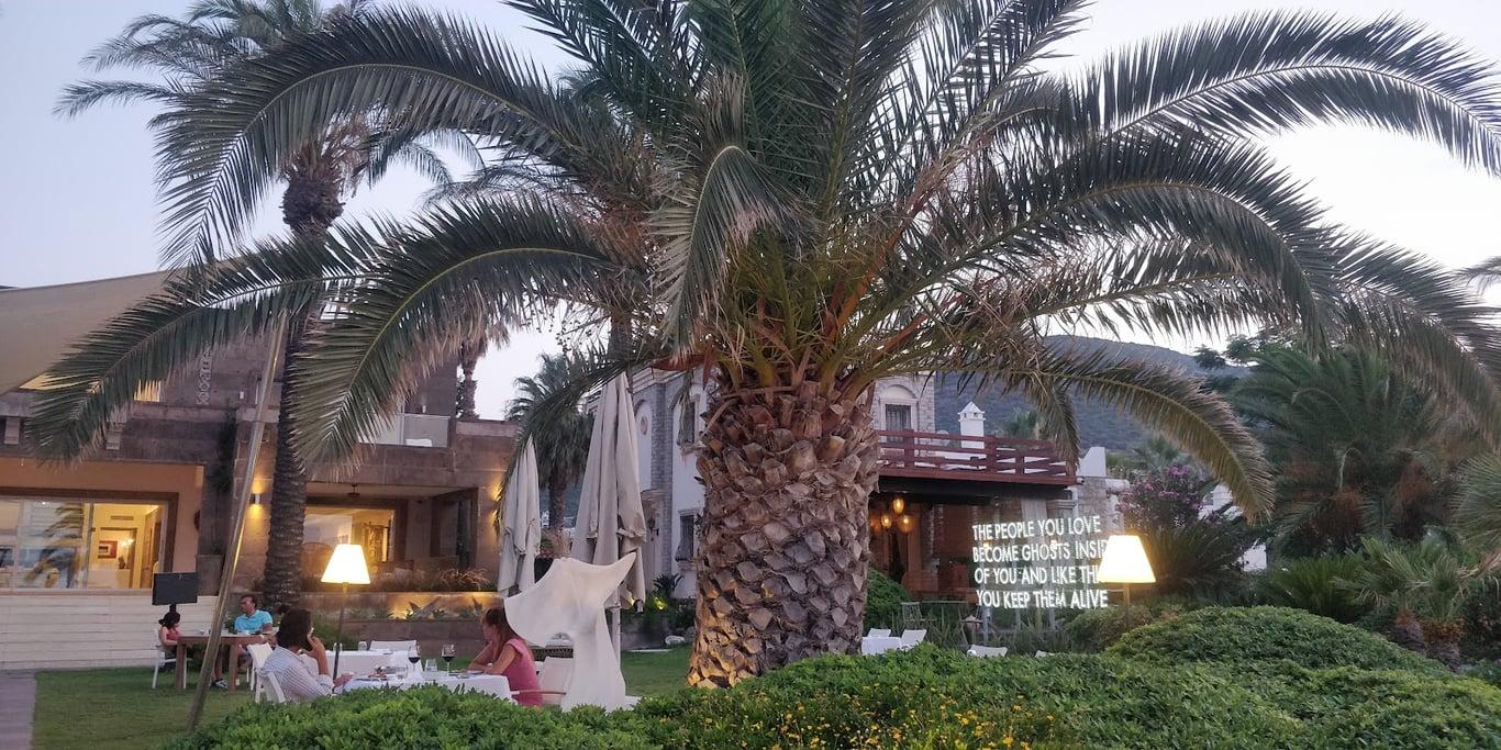 ENT Restaurant fotoğraf 7