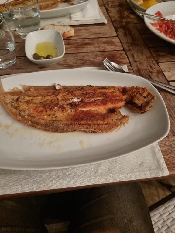 KAHRAMAN BODRUM fotoğraf 2