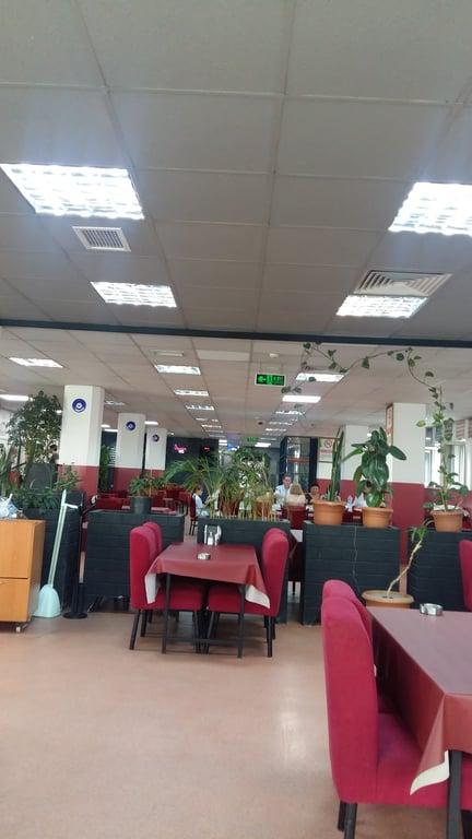 MEŞHUR KANATÇI fotoğraf 4