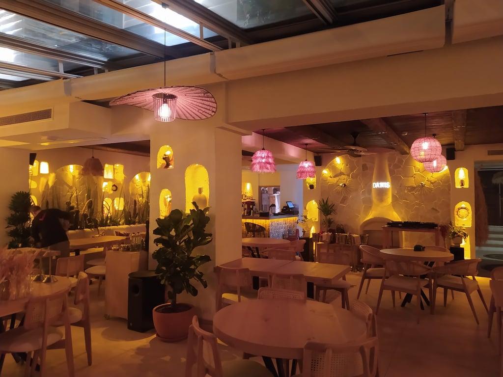 Danış Ethnic Restaurant fotoğraf 1