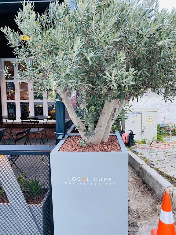 Local Cups Coffee Society Alaçatı fotoğraf 7