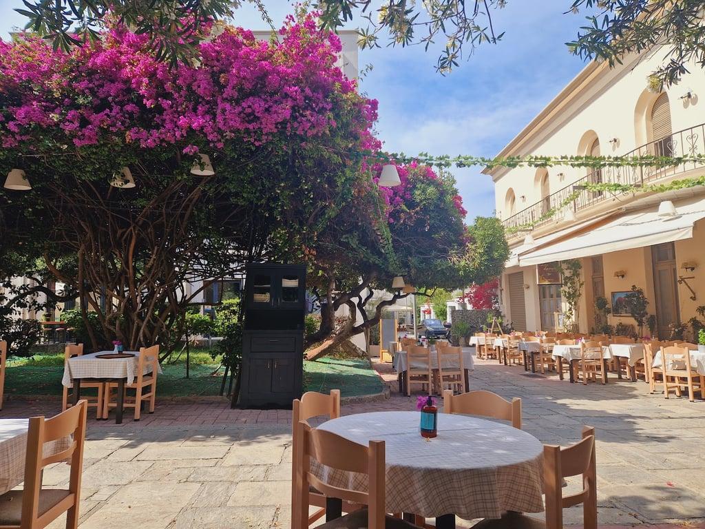 Select Restaurant Cafe fotoğraf 5