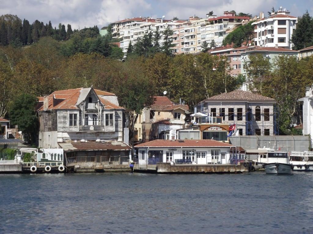 Yeniköy İskele Restaurant fotoğraf 7