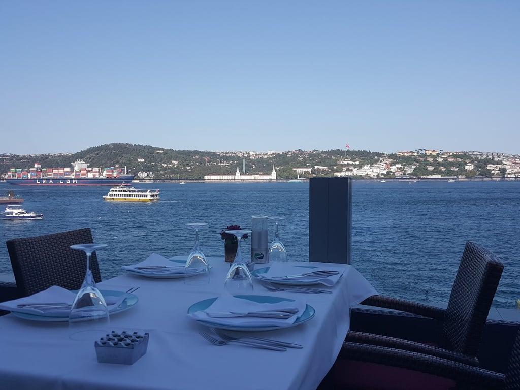 Mavi Balık fotoğraf 3