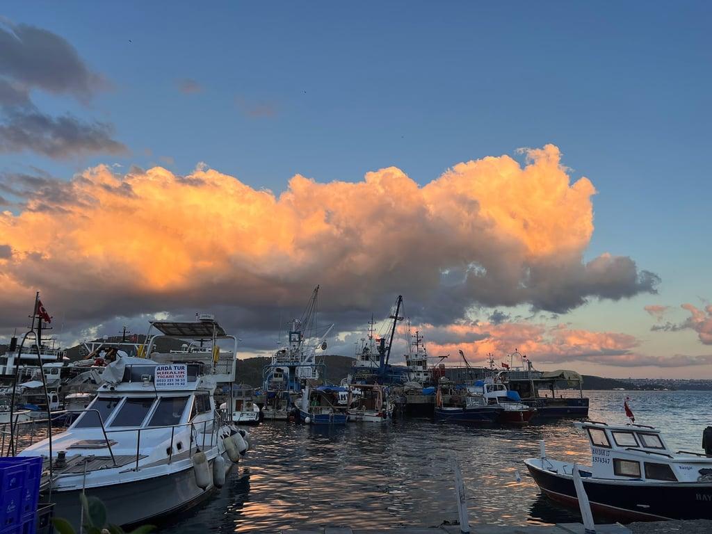 Aquarius Balık Sarıyer fotoğraf 4