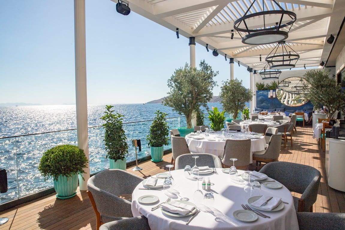 Novikov Bodrum fotoğraf 8