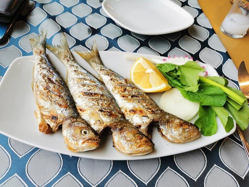 Balıkçı Hamdi fotoğraf 4