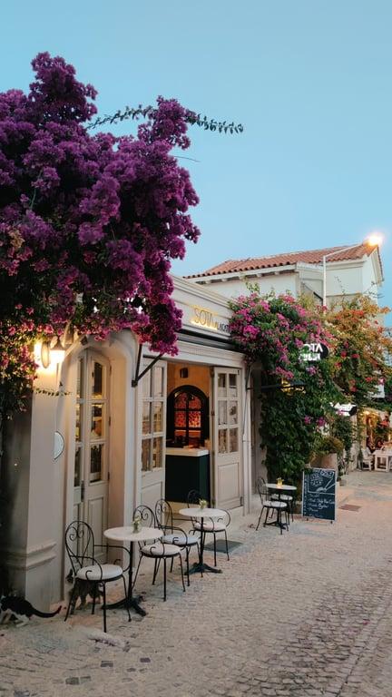 Sota Alaçatı fotoğraf 8