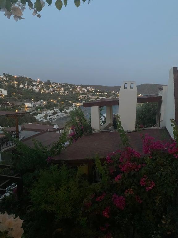 Archipelago Restaurant fotoğraf 5