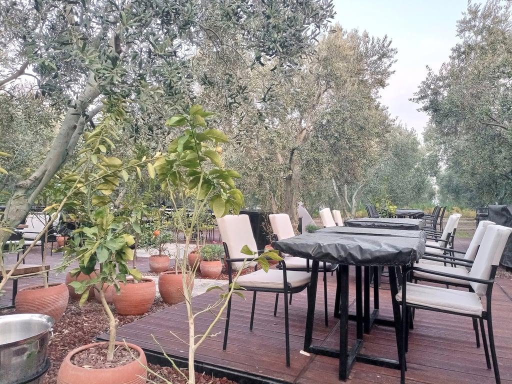 OD Urla fotoğraf 6