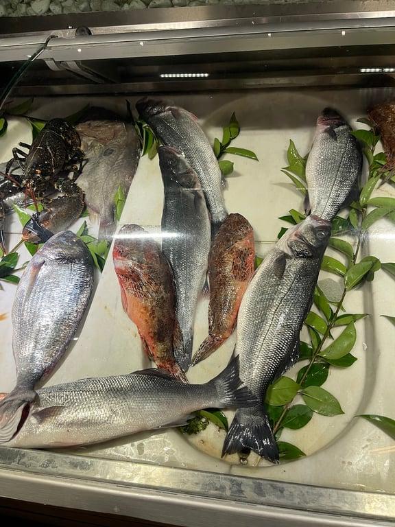 Sur Balık Restoran Sarayburnu fotoğraf 7
